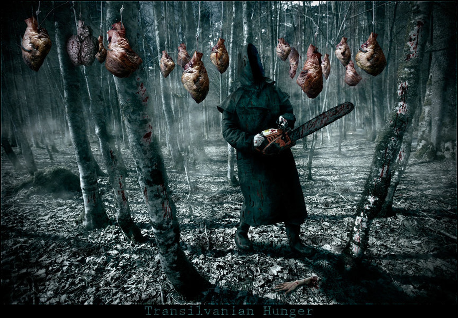 Transilvanian Hunger by Orpheus