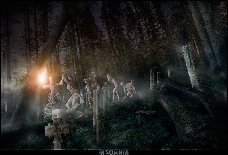 Insomnia by Orpheus
