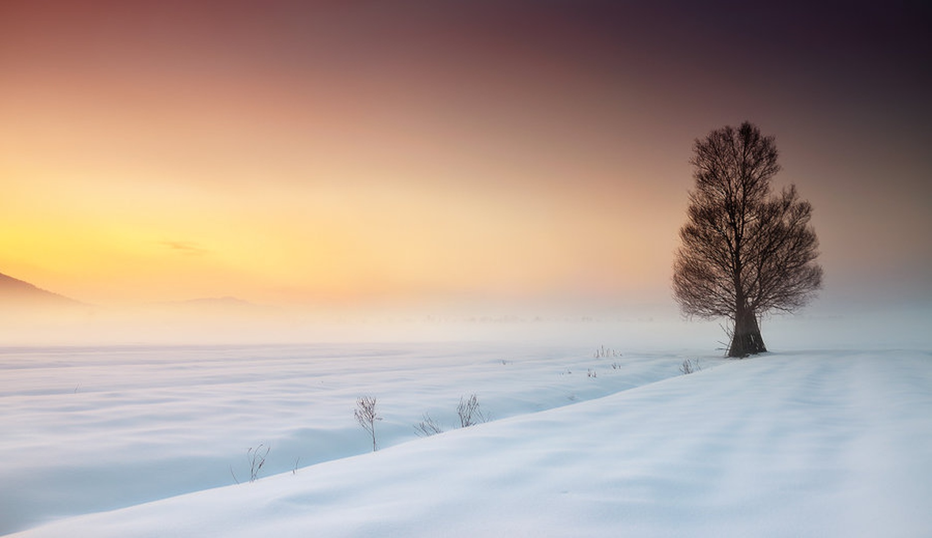 Where Horizons End by Orpheus