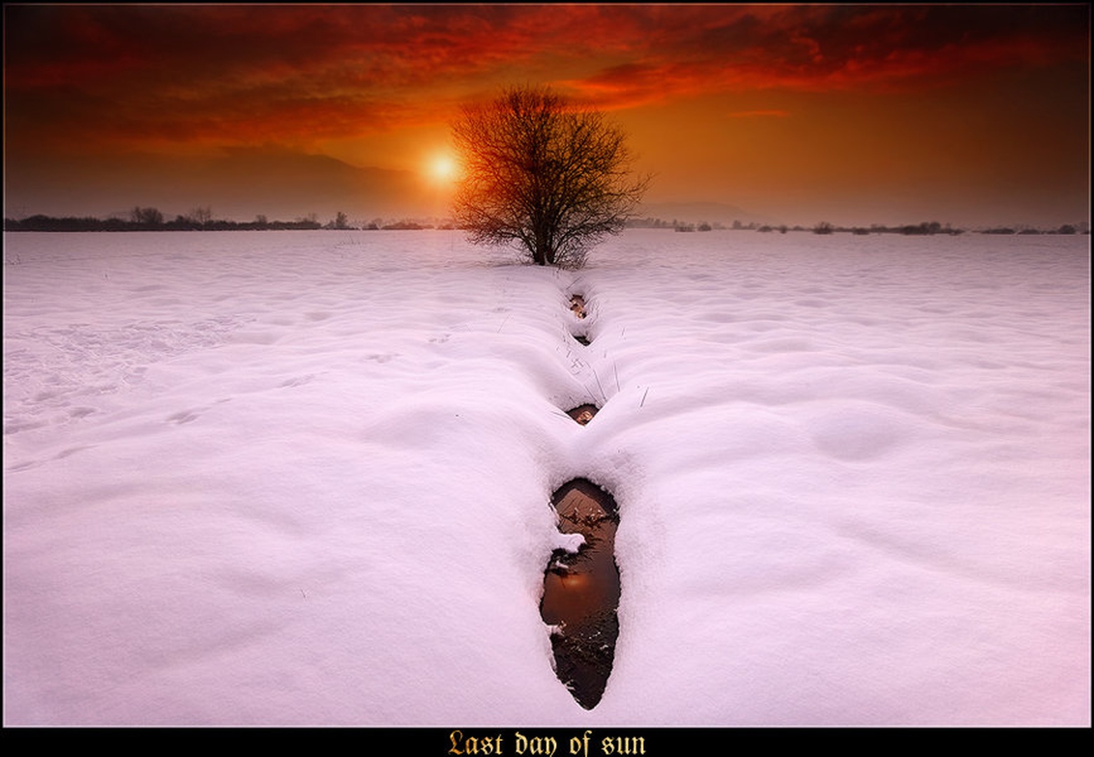 Last Day of Sun by Orpheus