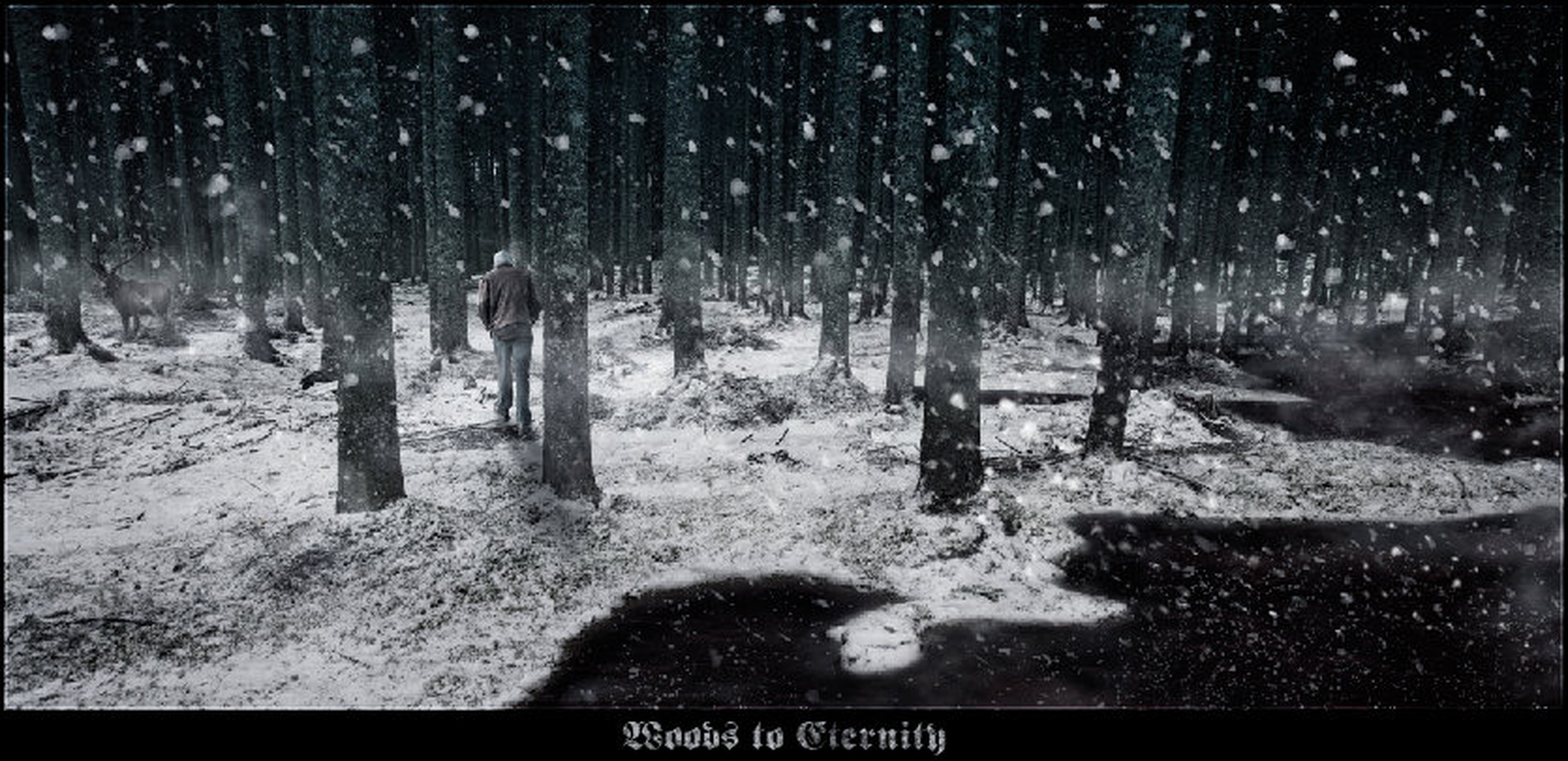 Woods to Eternity by Orpheus
