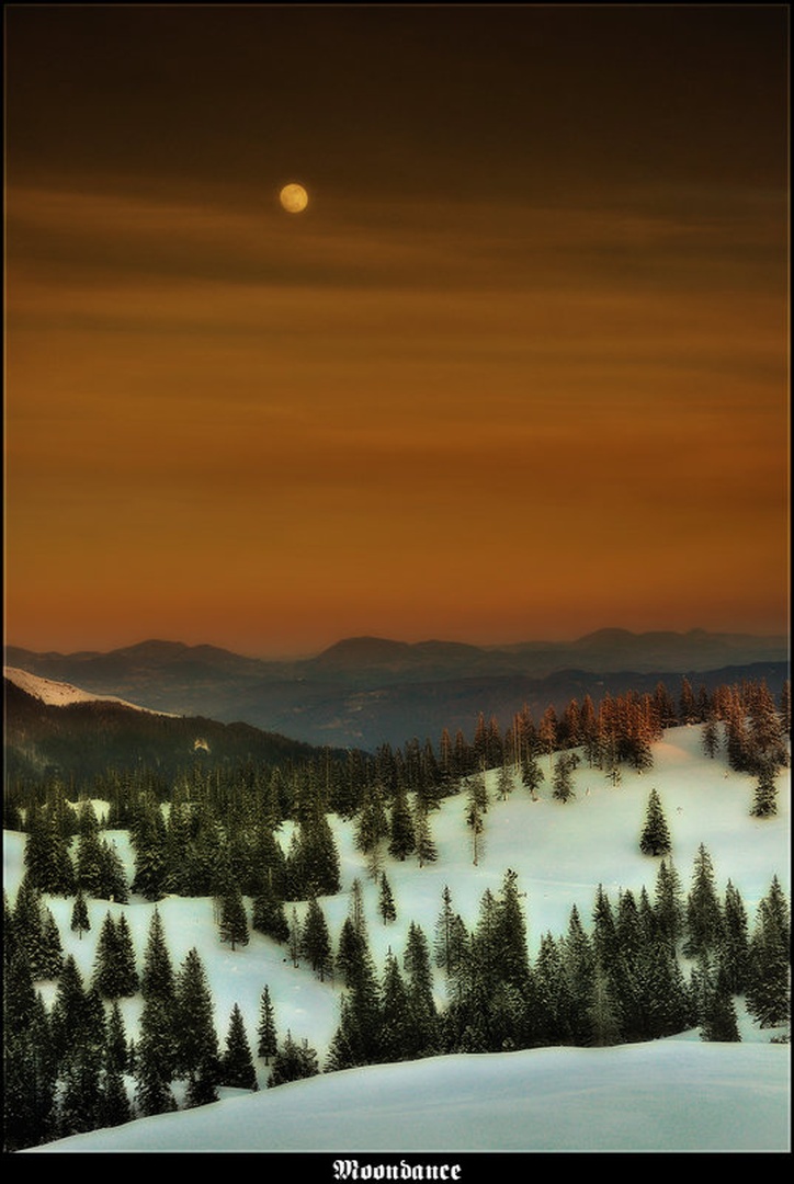 Moondance by Orpheus