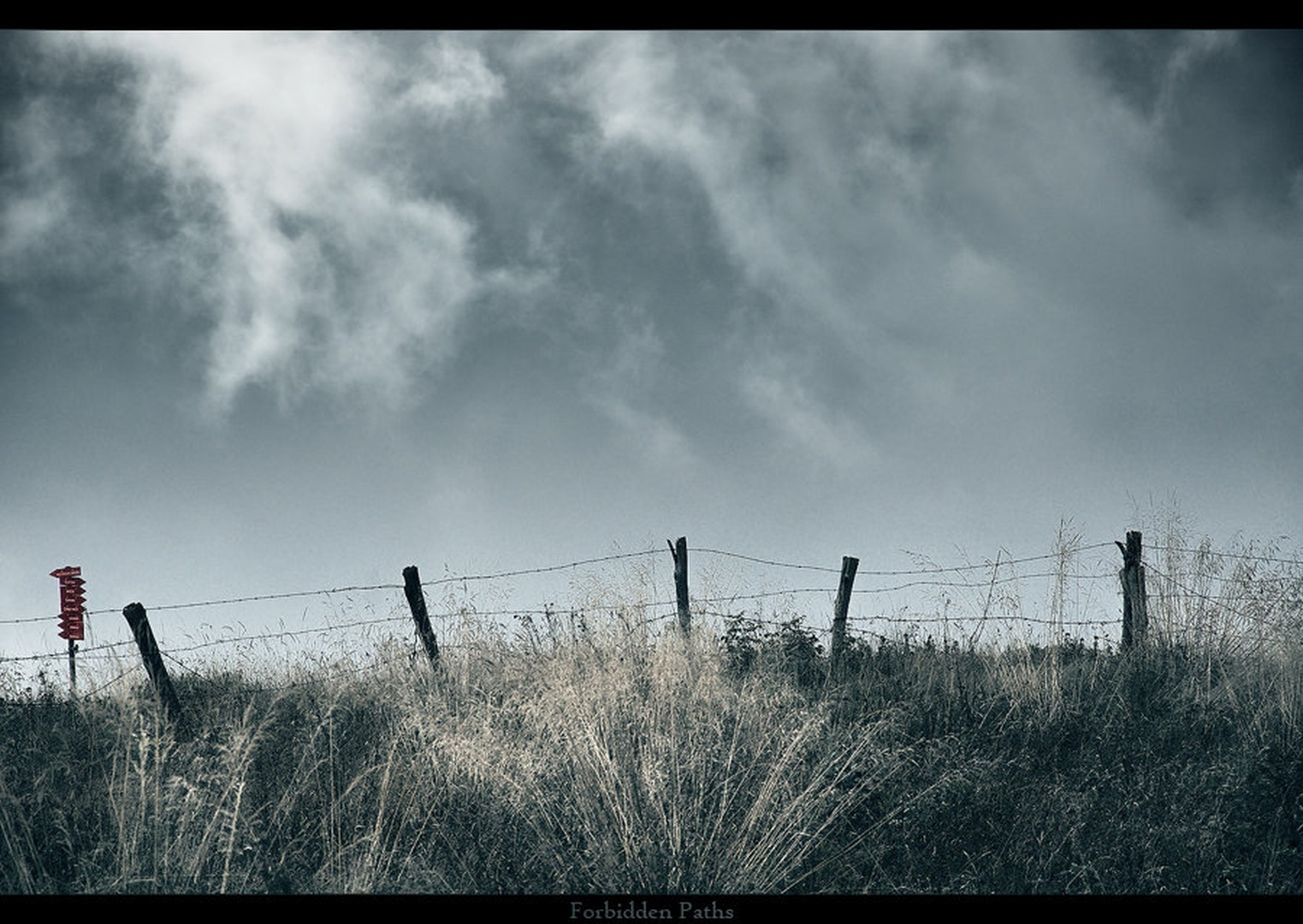 Forbidden Paths by Orpheus