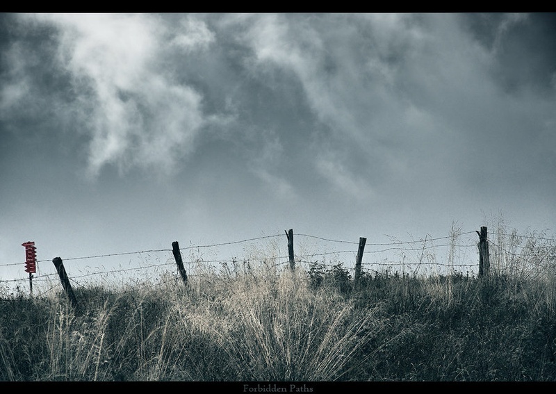 Forbidden Paths by Orpheus