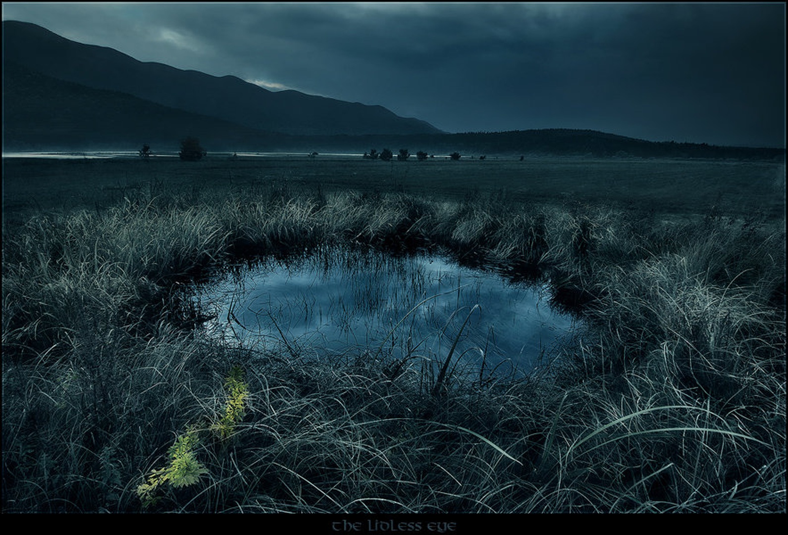 The Lidless Eye by Orpheus