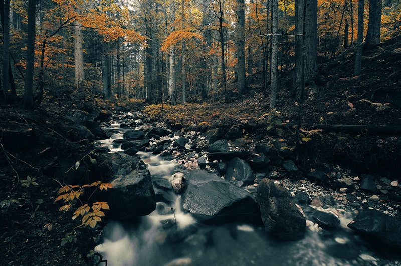 Autumn Whispers by Orpheus