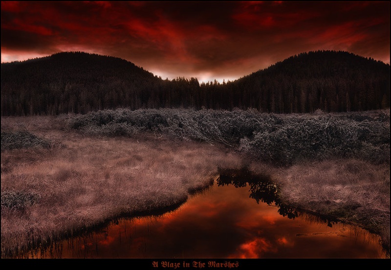 A Blaze in the Marshes by Orpheus