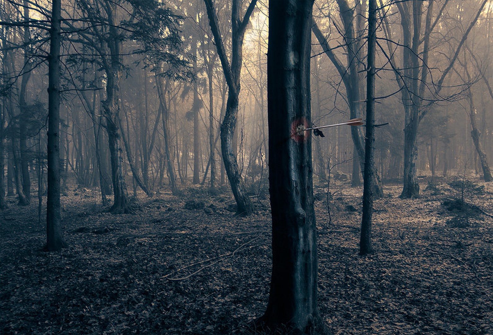 Birthmark by Orpheus