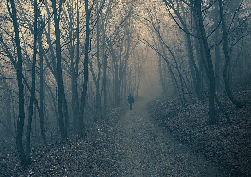 The Lost Man by Orpheus