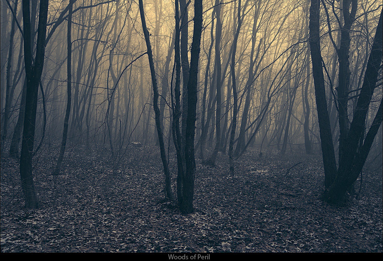 Woods of Peril by Orpheus