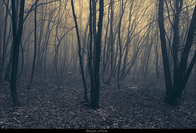 Woods of Peril by Orpheus