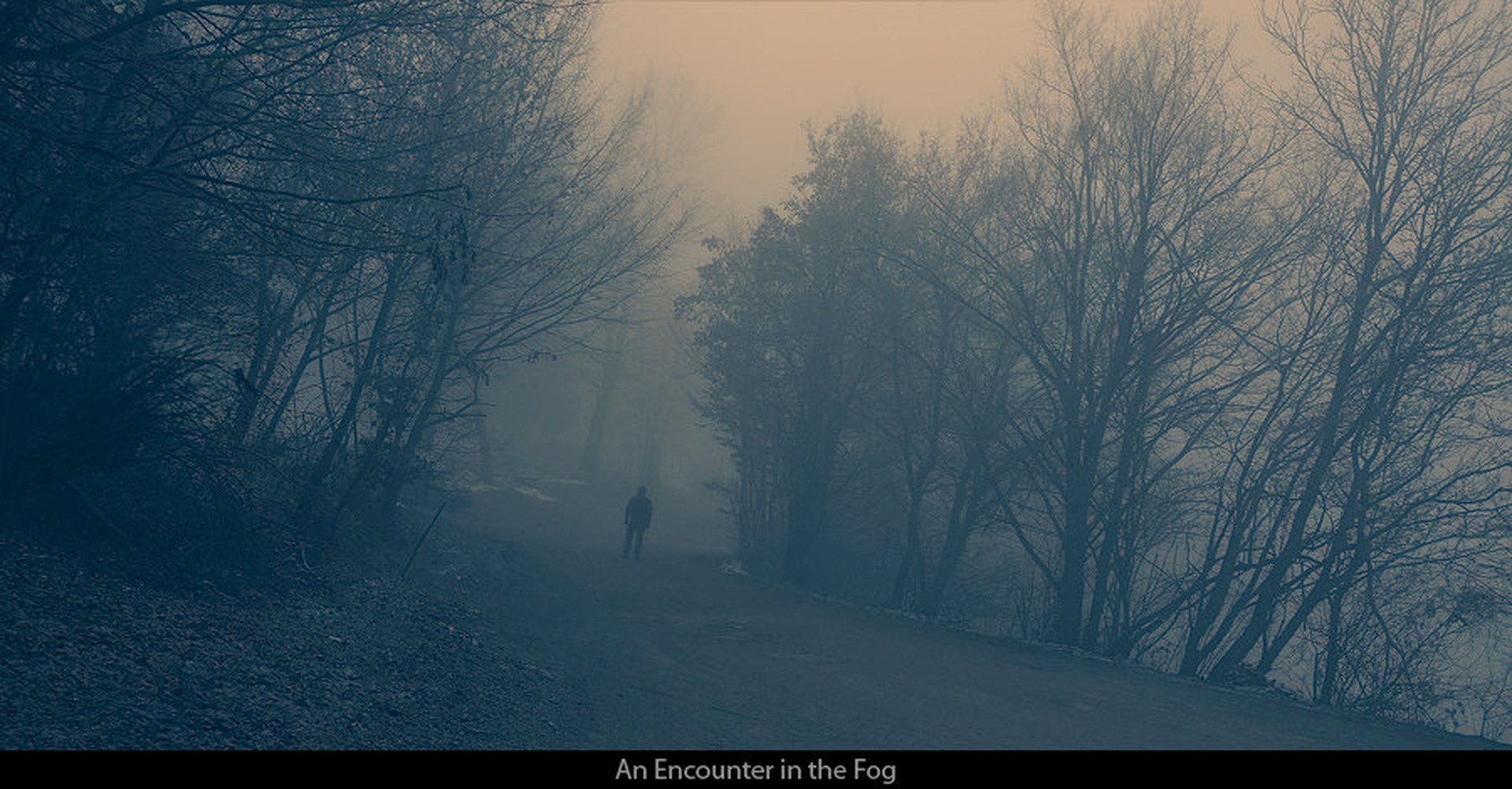 An Encounter in the Fog by Orpheus