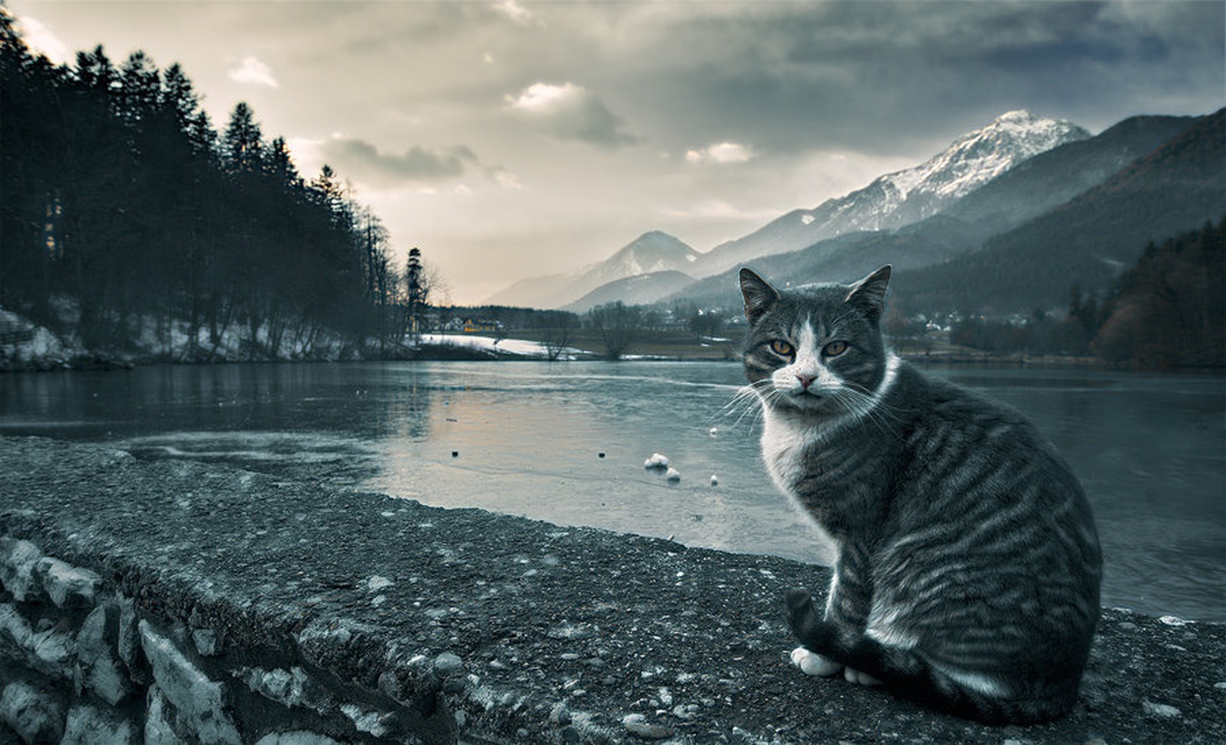 King of the Valley by Orpheus