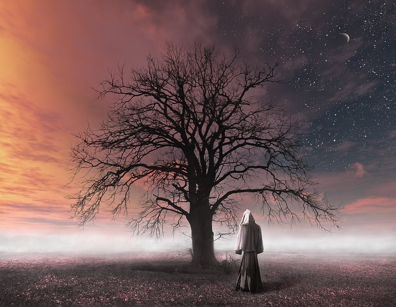 Oracle of the Oak by Orpheus