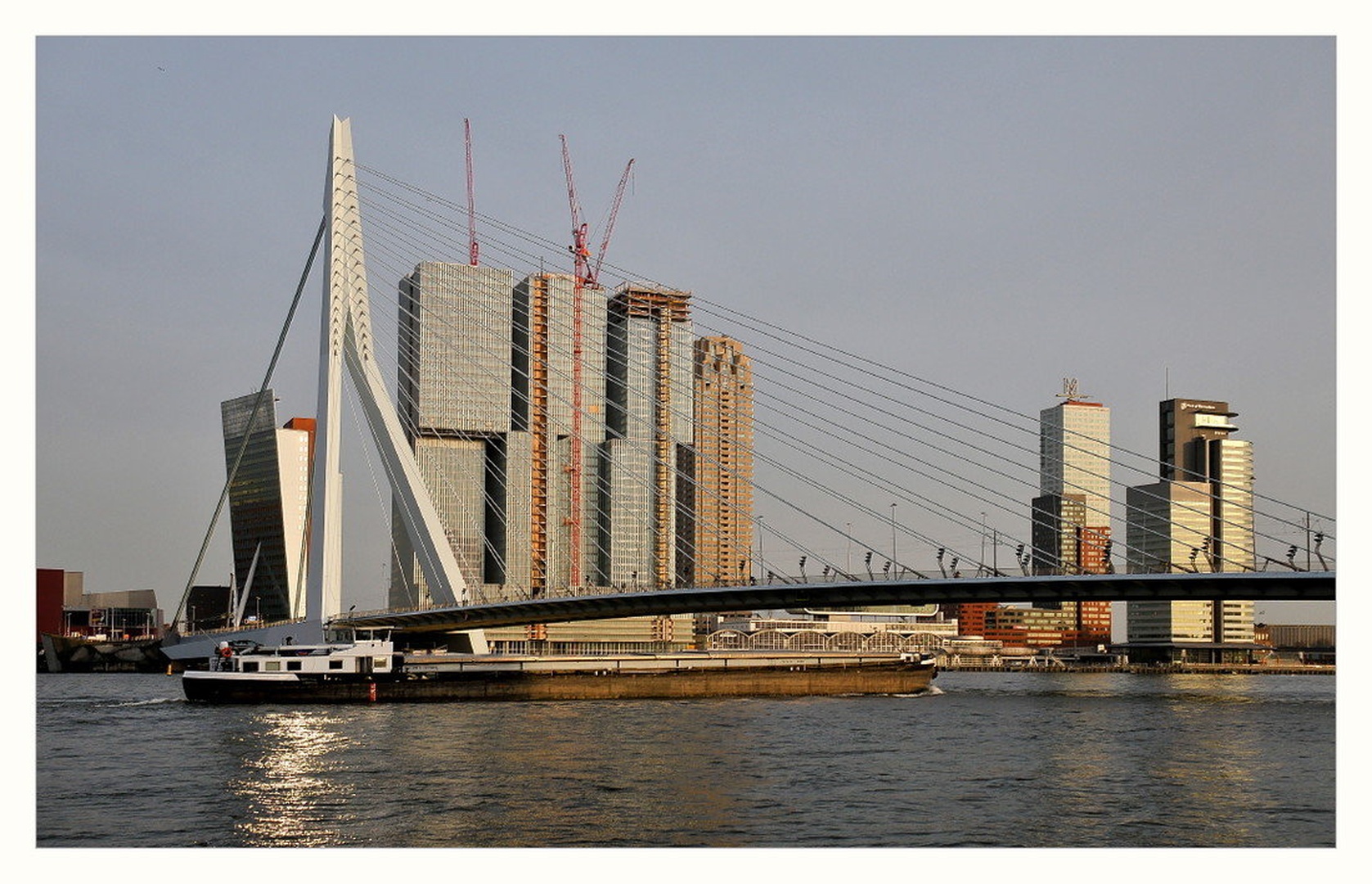 Erasmus Bridge by Tomaž Lovšin