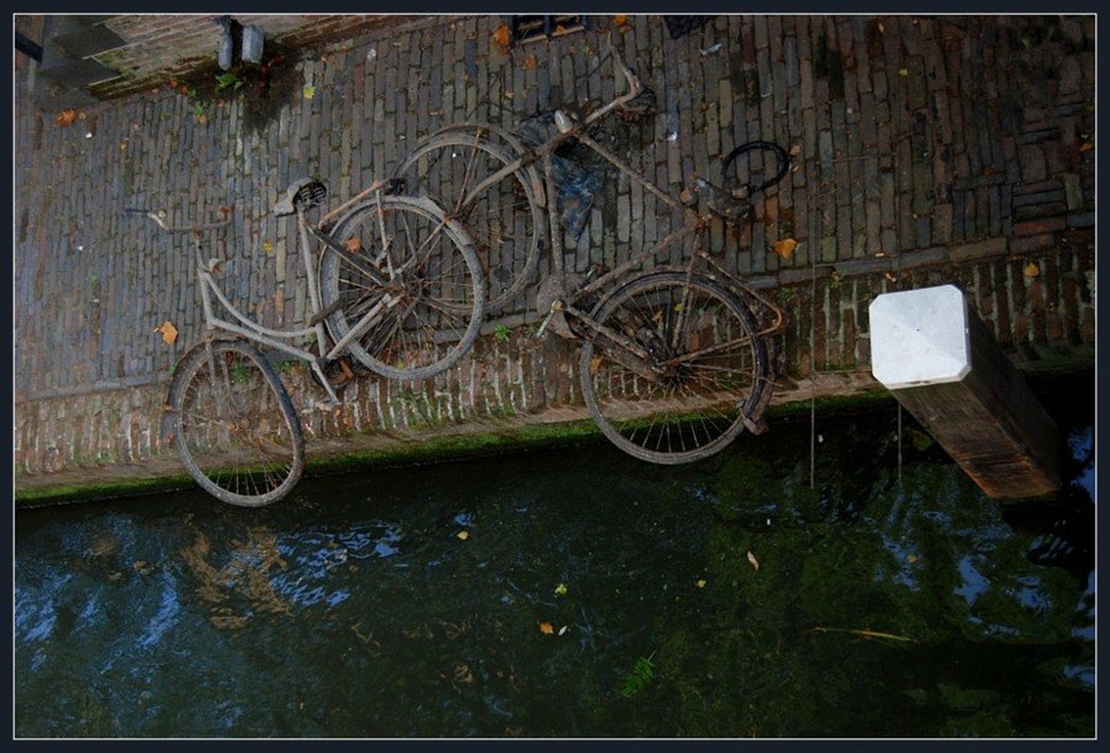 Umazani, grdi... ali Dirty Old Town by Tomaž Lovšin
