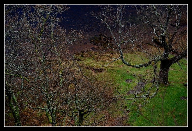 Glendalough by Tomaž Lovšin
