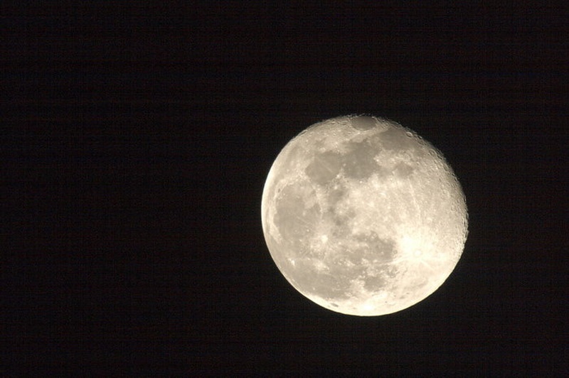 Luna by Primož Valenčič