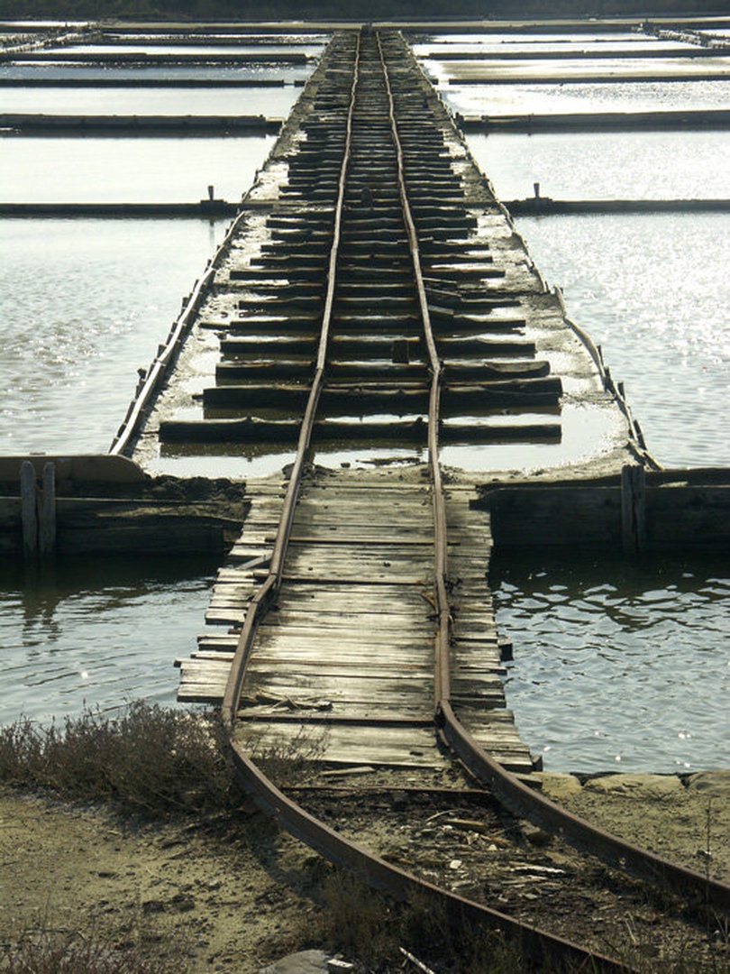 way to ... by Alan Bizjak