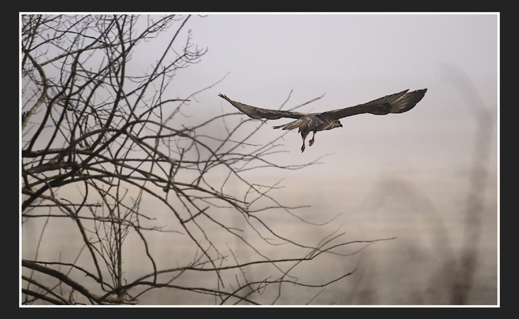 Airborn by tilen