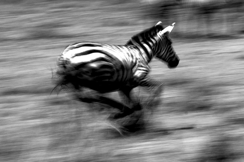 Lets run by Mark Ciman