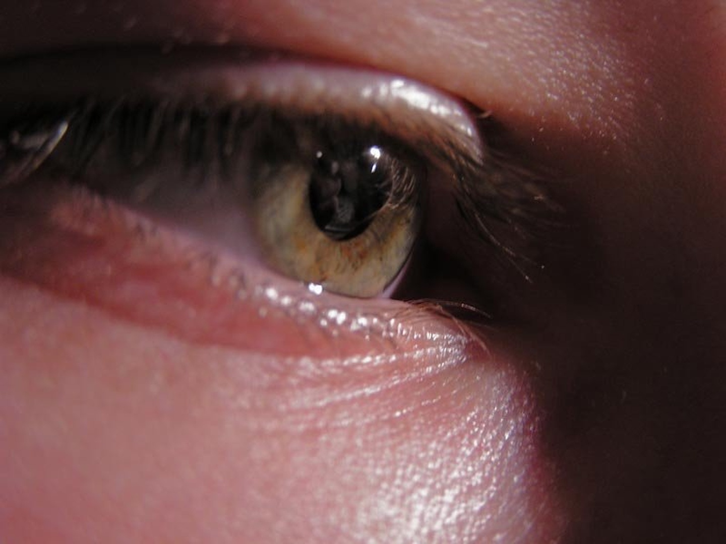 the eye is watching you by imenko priimkovič