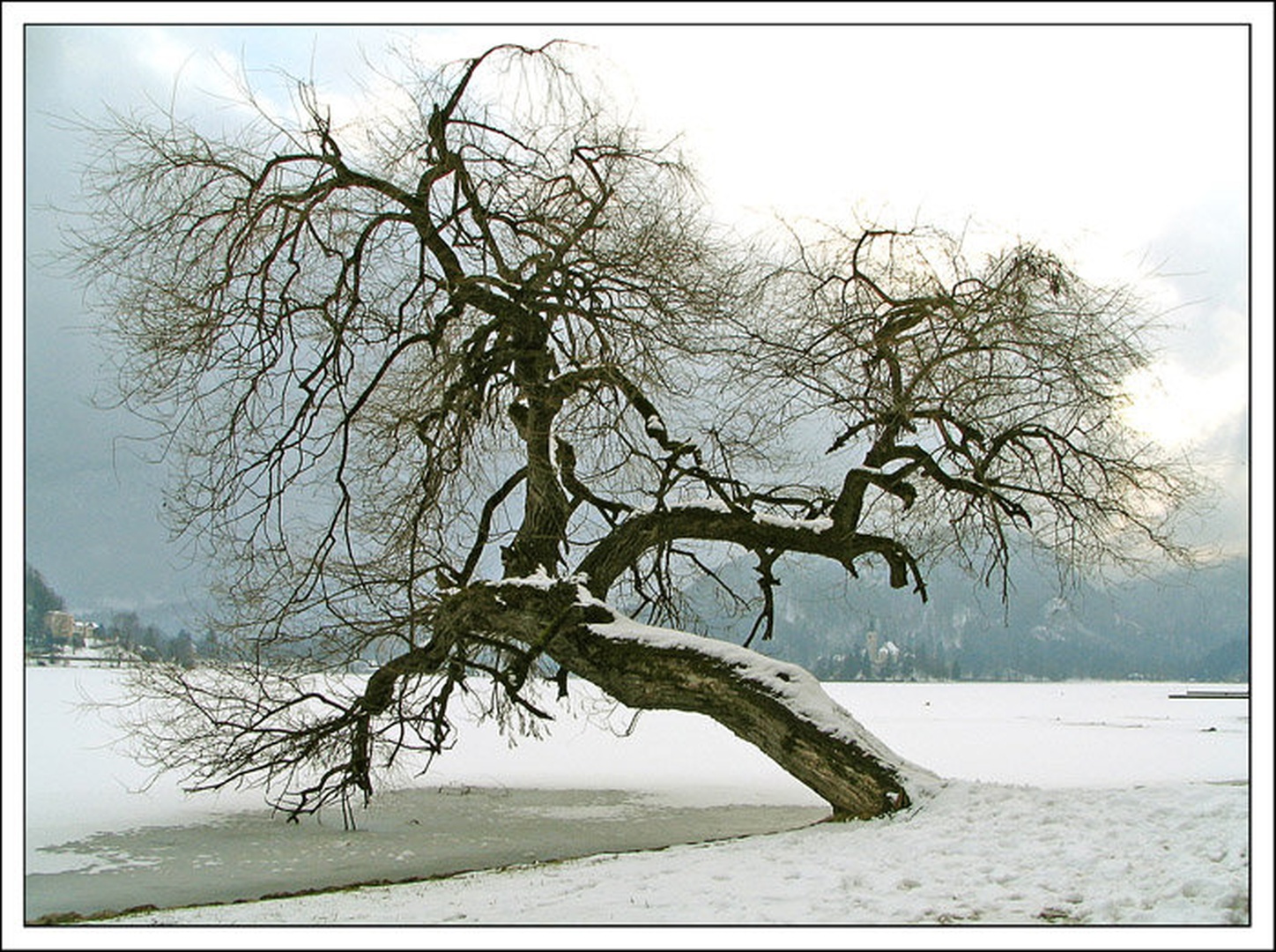 Orjak, ki ga ni več by gabe