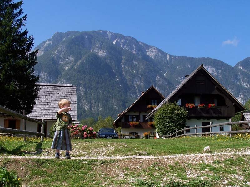 od tam sem prišel by Gregor Krašnja