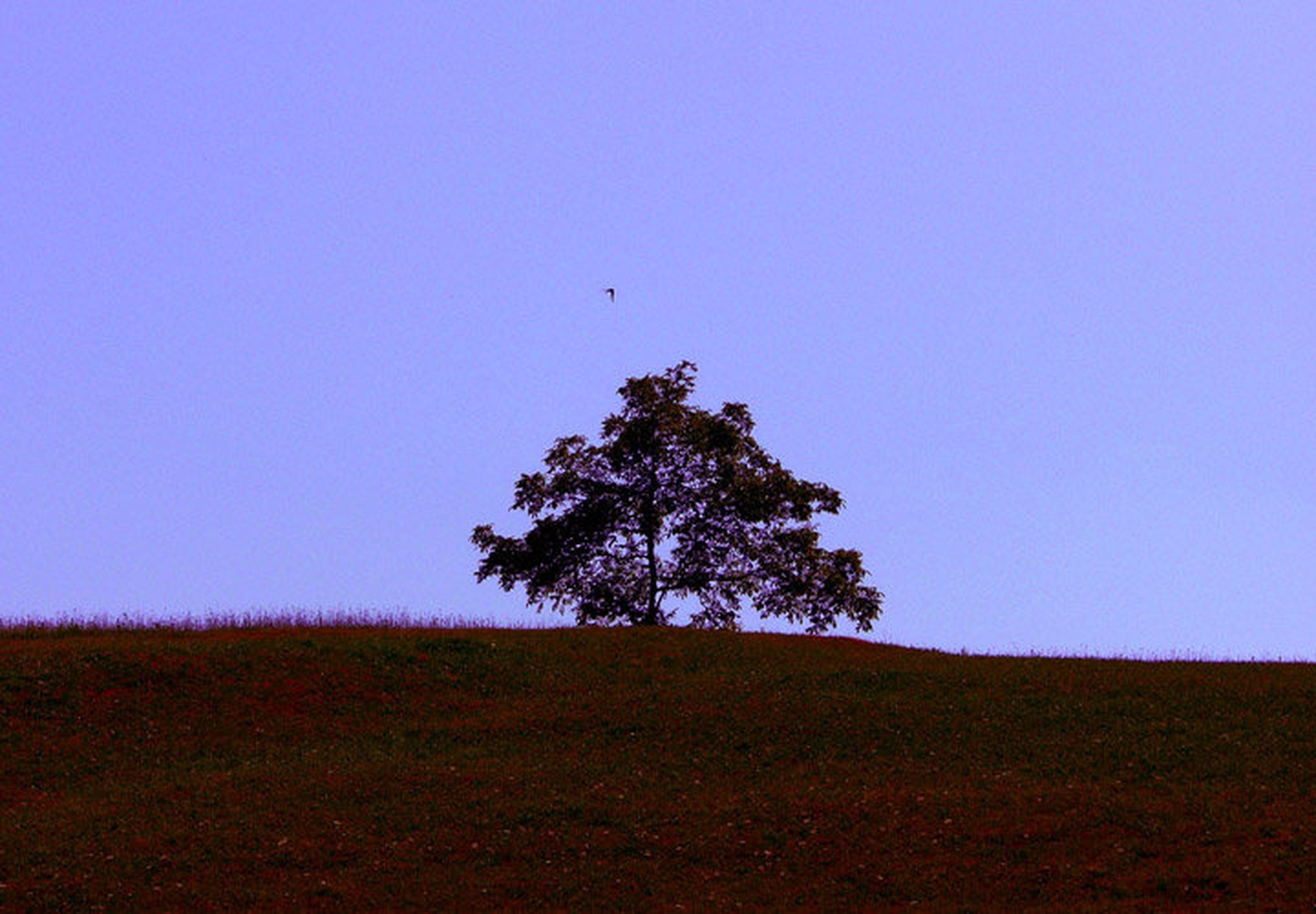 svobodna... by