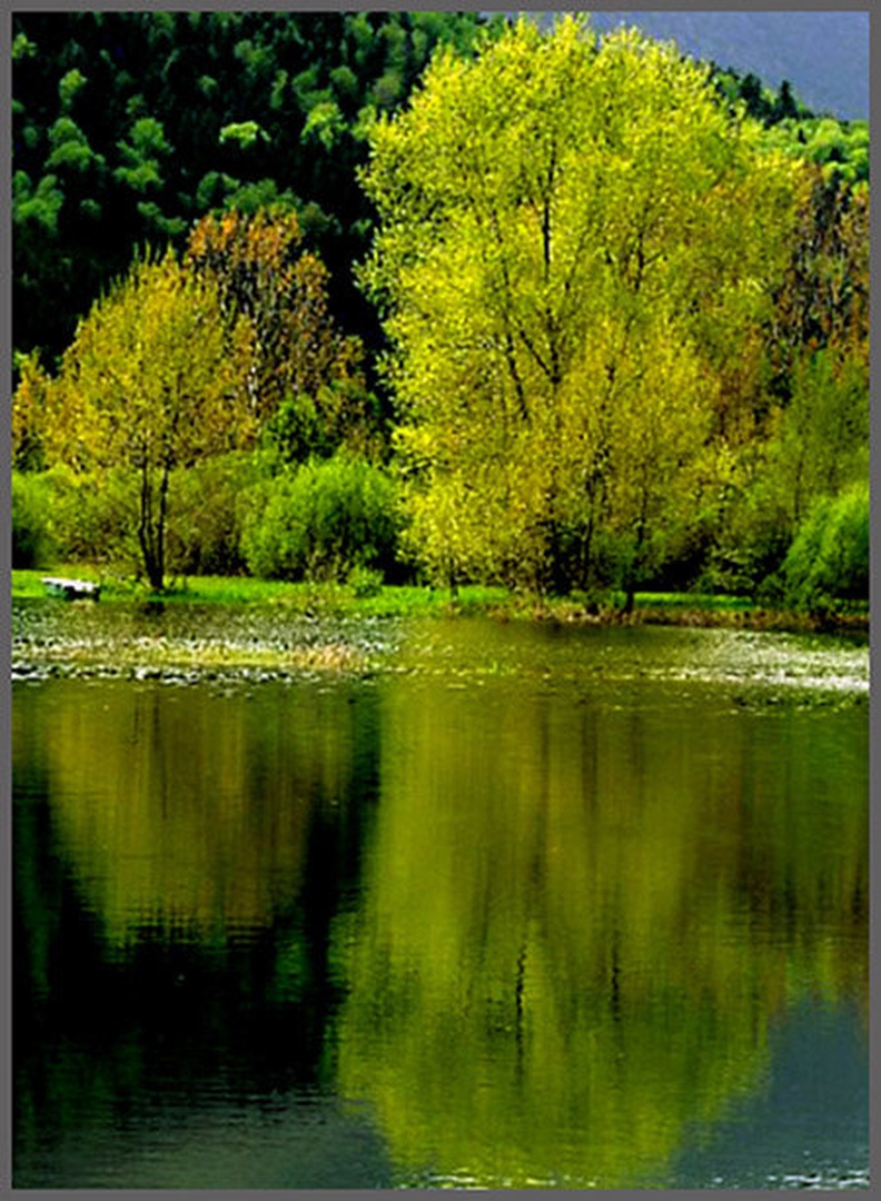jezero by