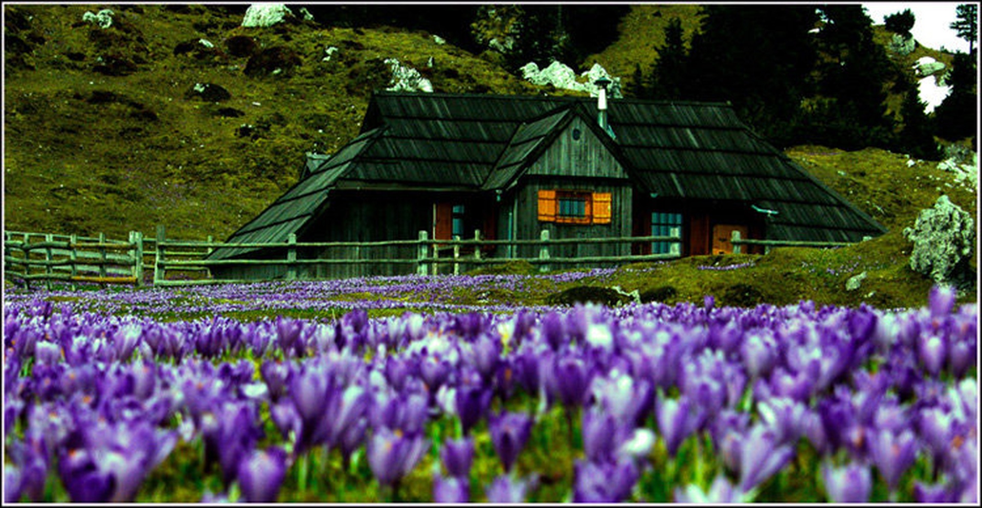 Gorski tepih by