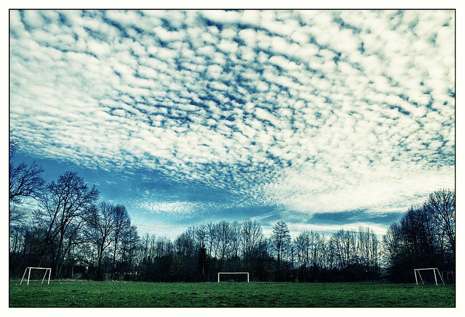 Pitch fever by Darko Pavlovic