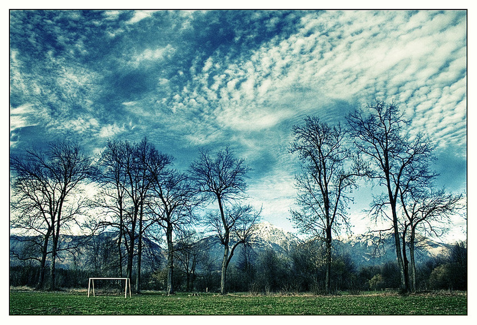 Wooden audience by Darko Pavlovic
