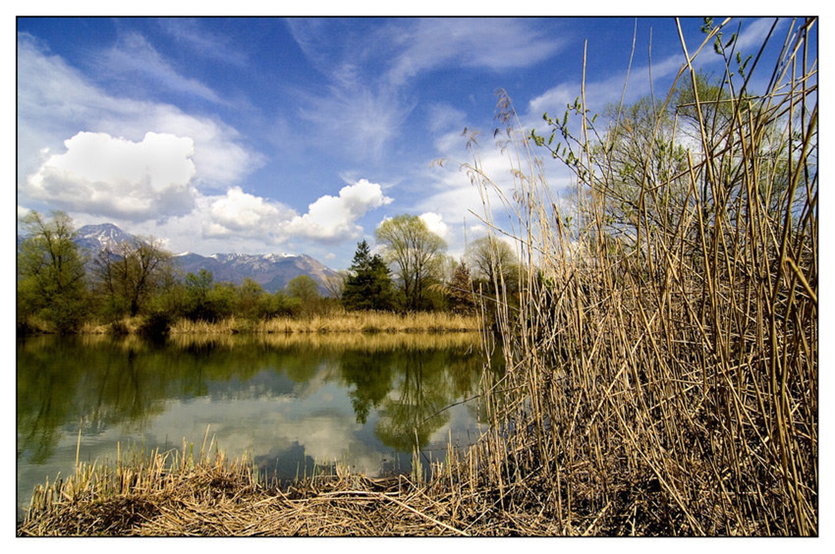 Crocodile lake by Darko Pavlovic