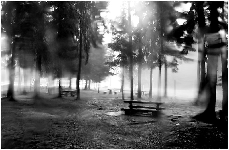 Lost in my own dreams by Darko Pavlovic
