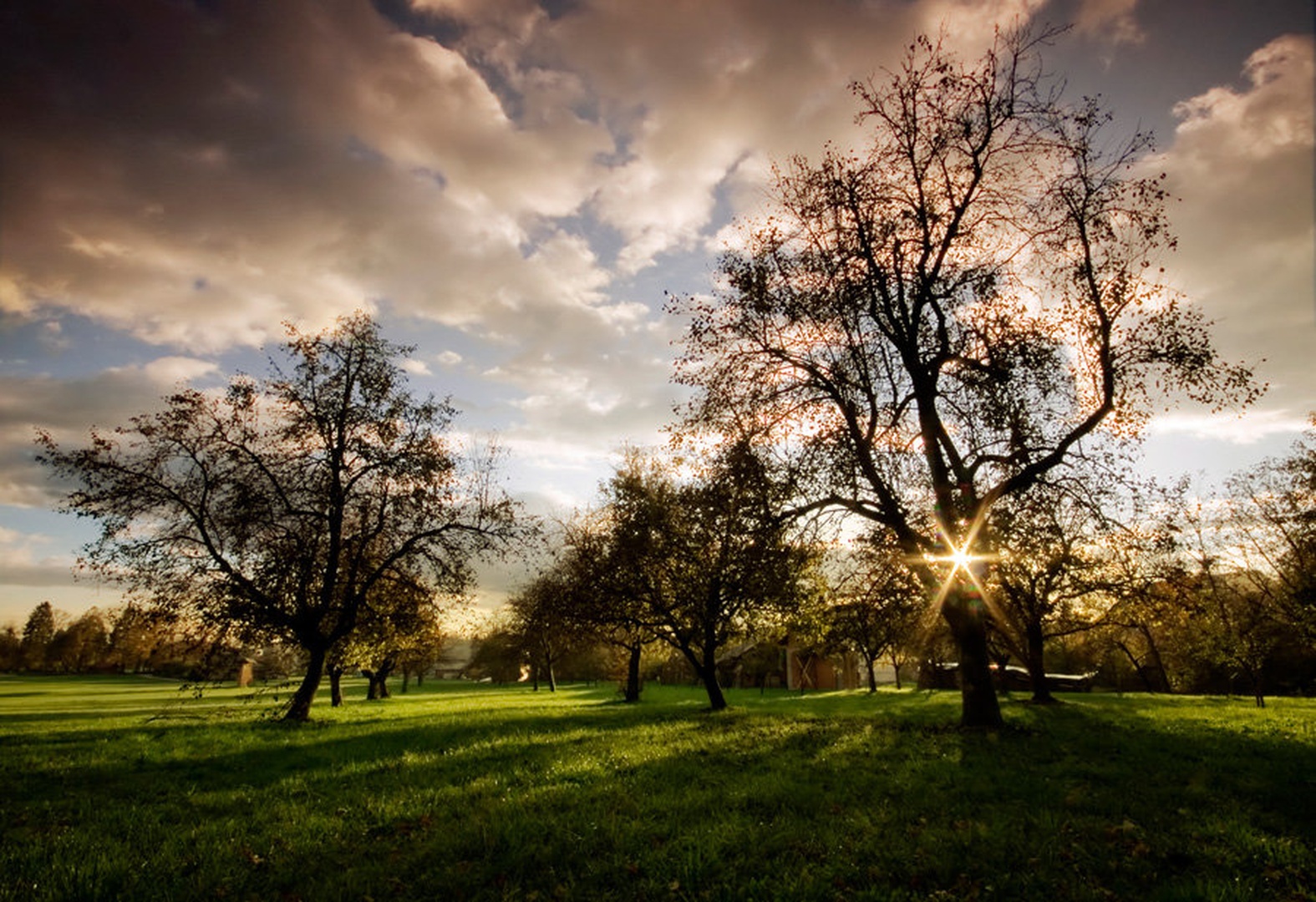 day dreaming by Darko Pavlovic