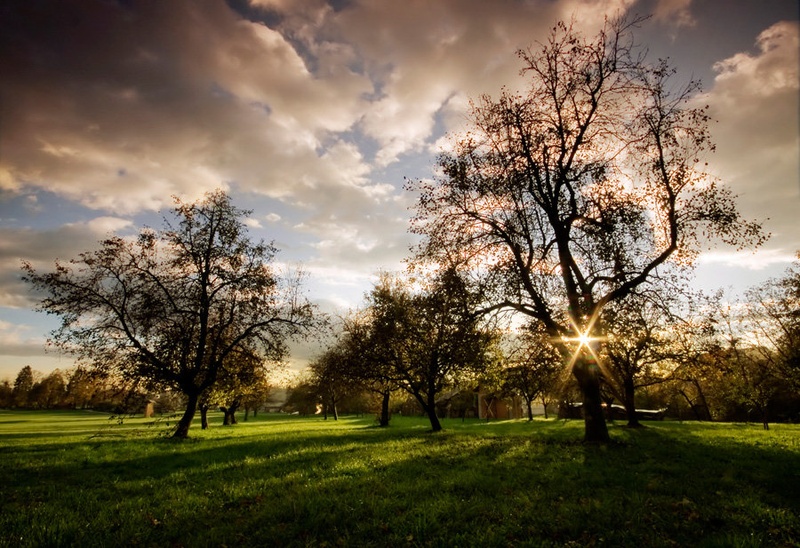 day dreaming by Darko Pavlovic