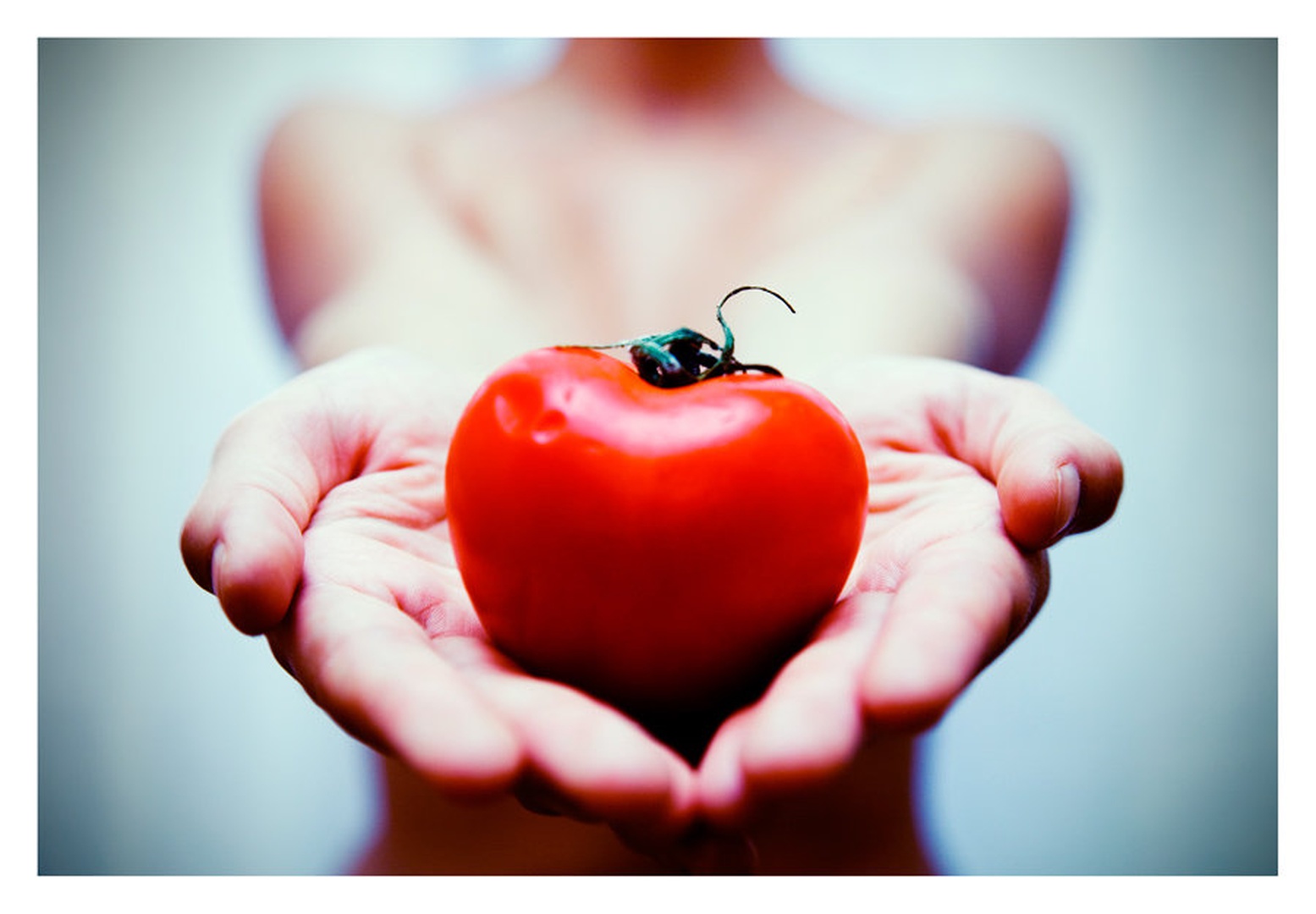 healthy tomato recipes by Darko Pavlovic