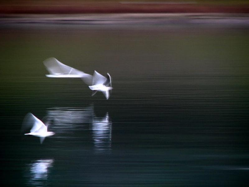 Let by mipu