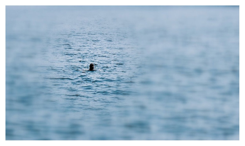 Ahoj, man over boat by Zoran Pahor