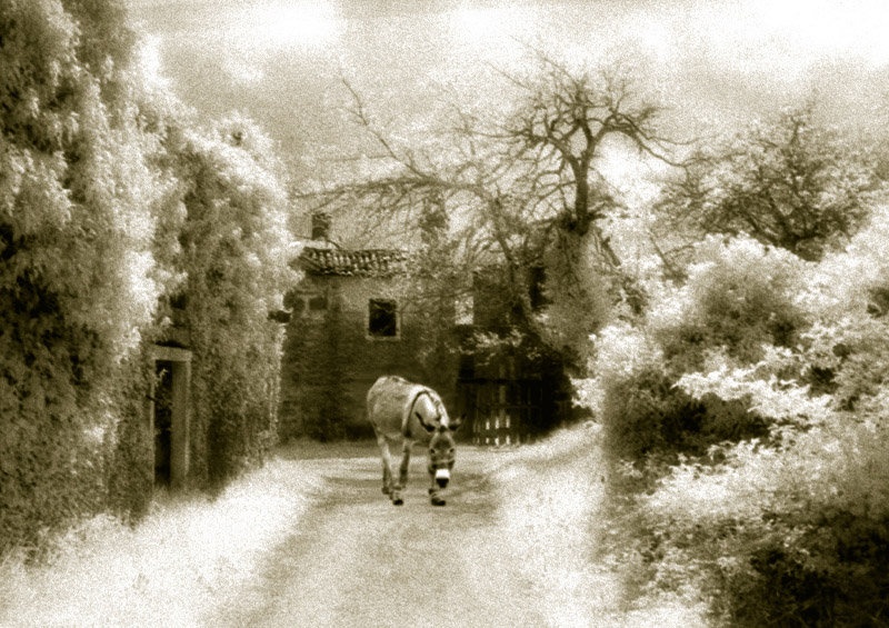Abitanti Hoax by B.Robert