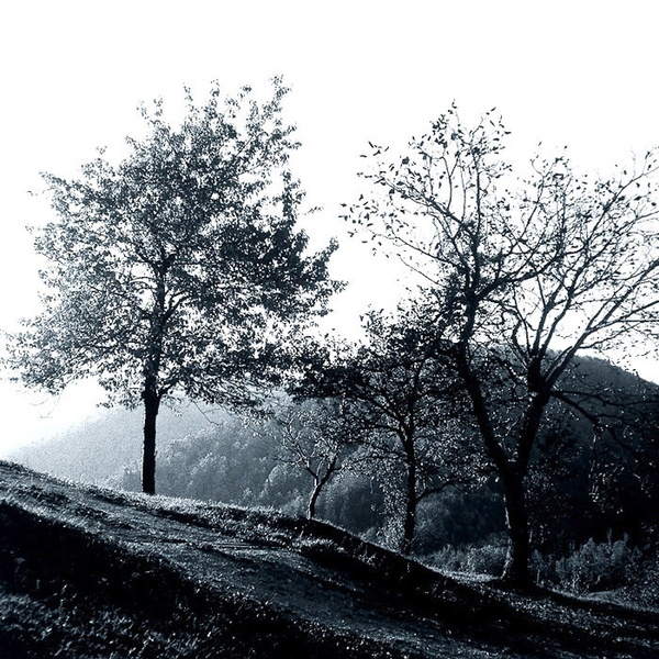 Rapsodija by B.Robert