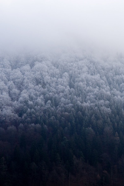 Trobojnica by perz