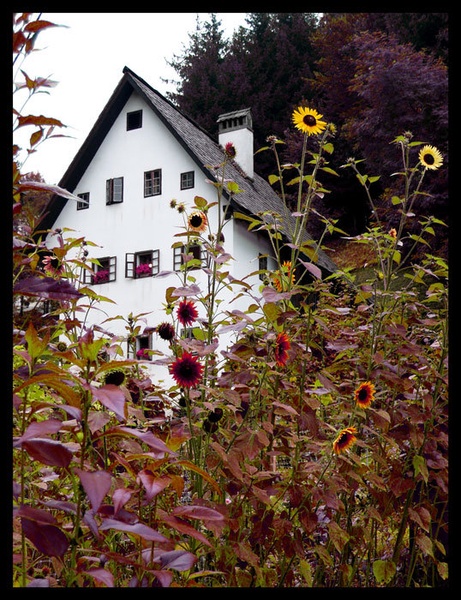 idrija- rudarska hiša by moja