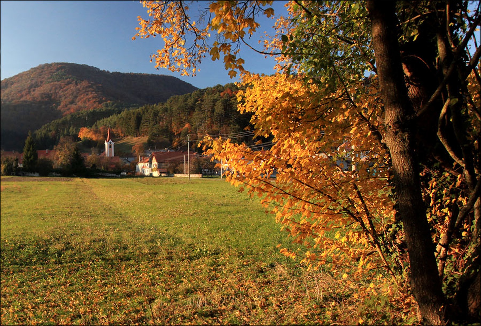 Planina by