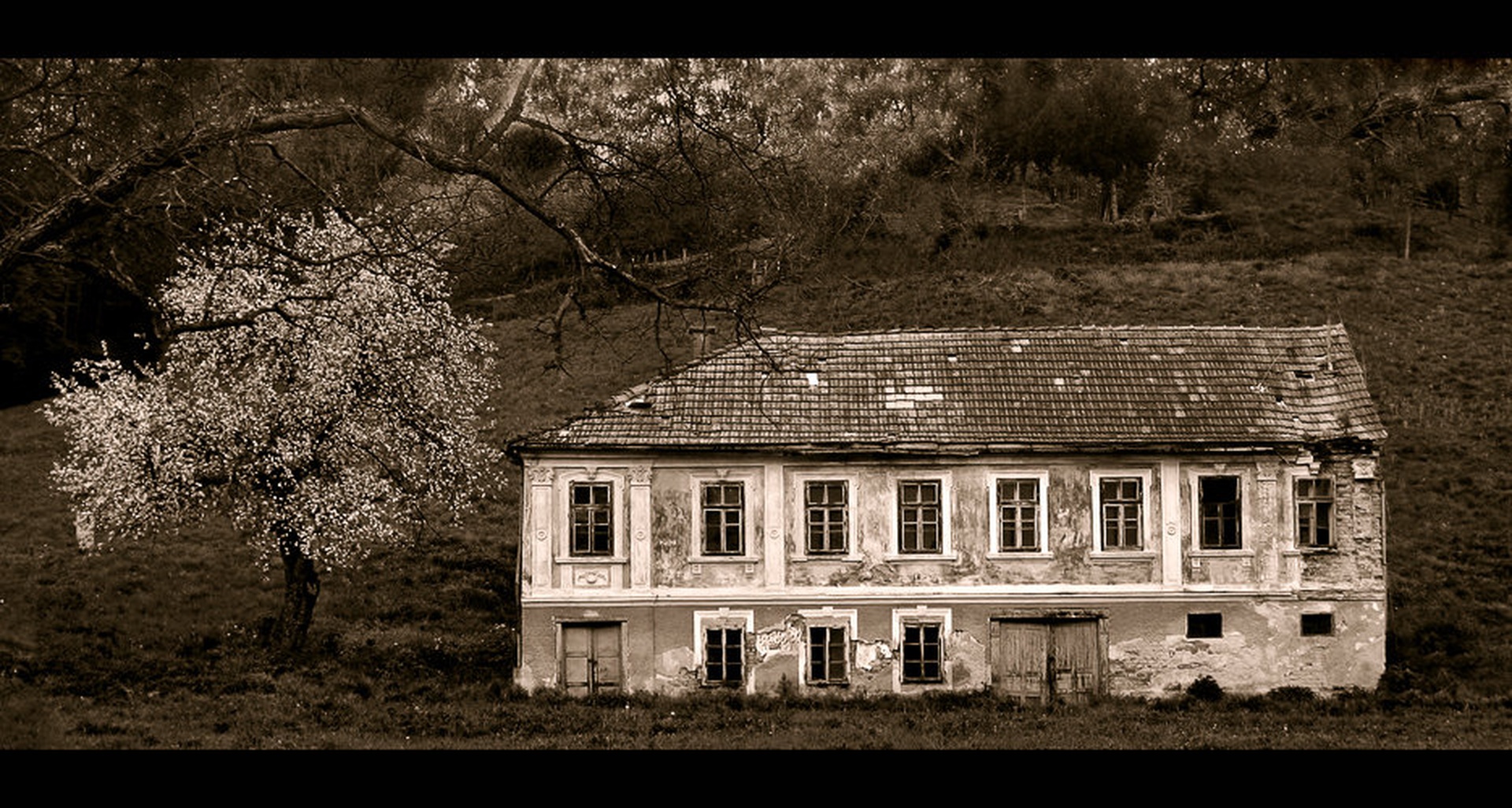 Hiša na samem by
