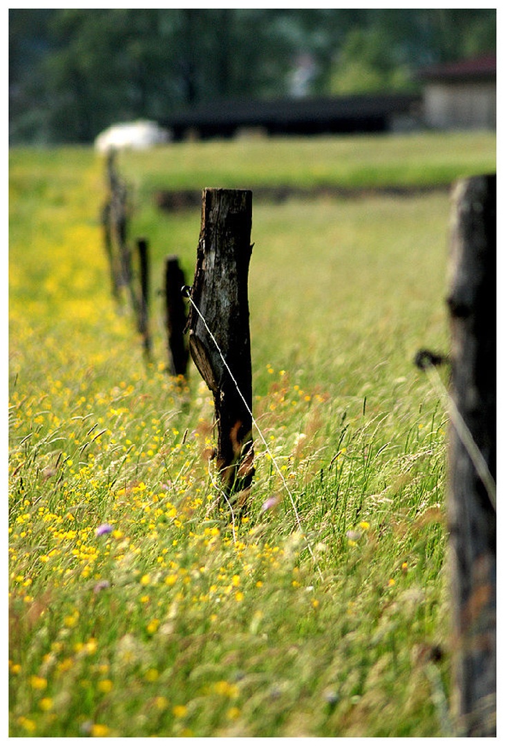 Open Border by Rok Kastelec