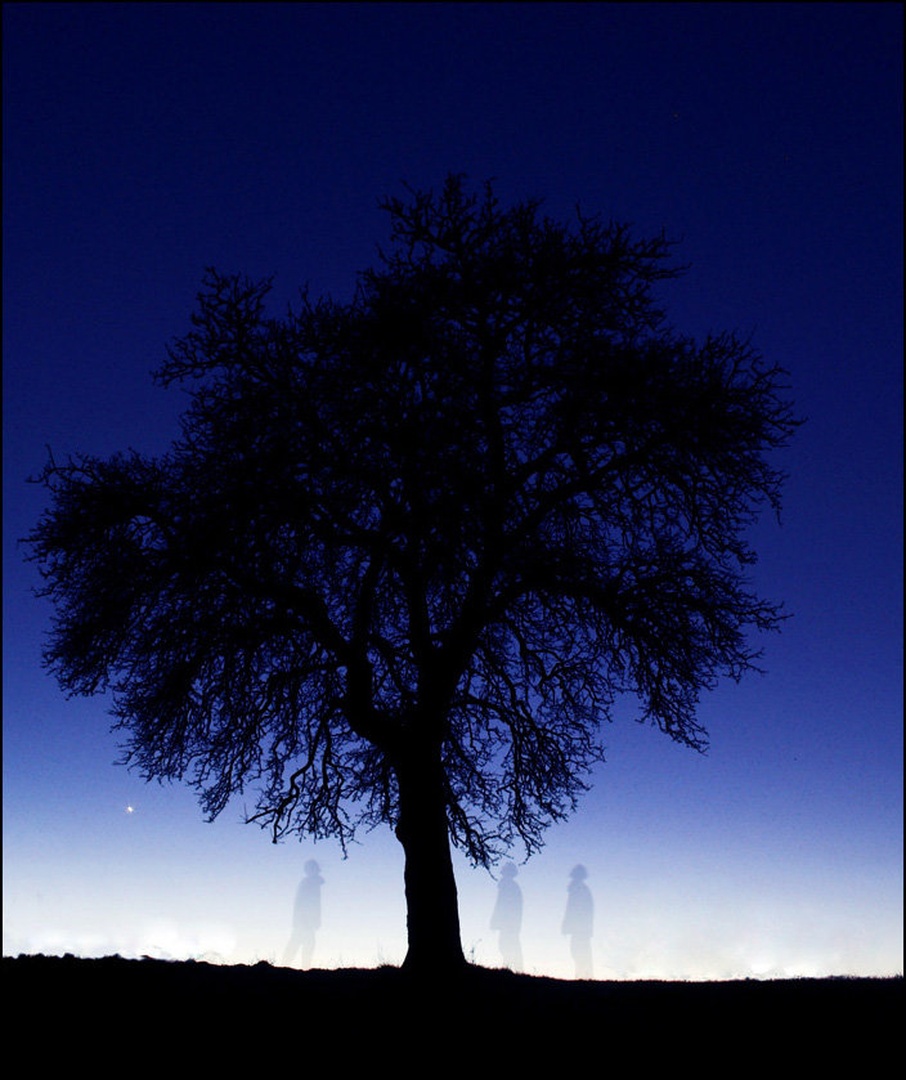 Ghosts under the tree by Primož Cigler