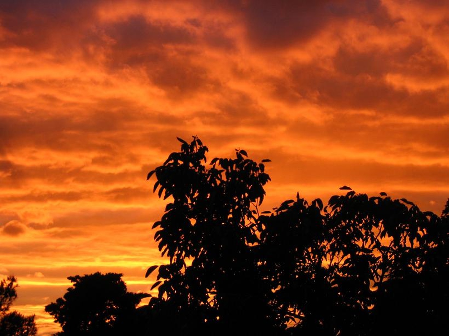 Orange sky by Nikolina