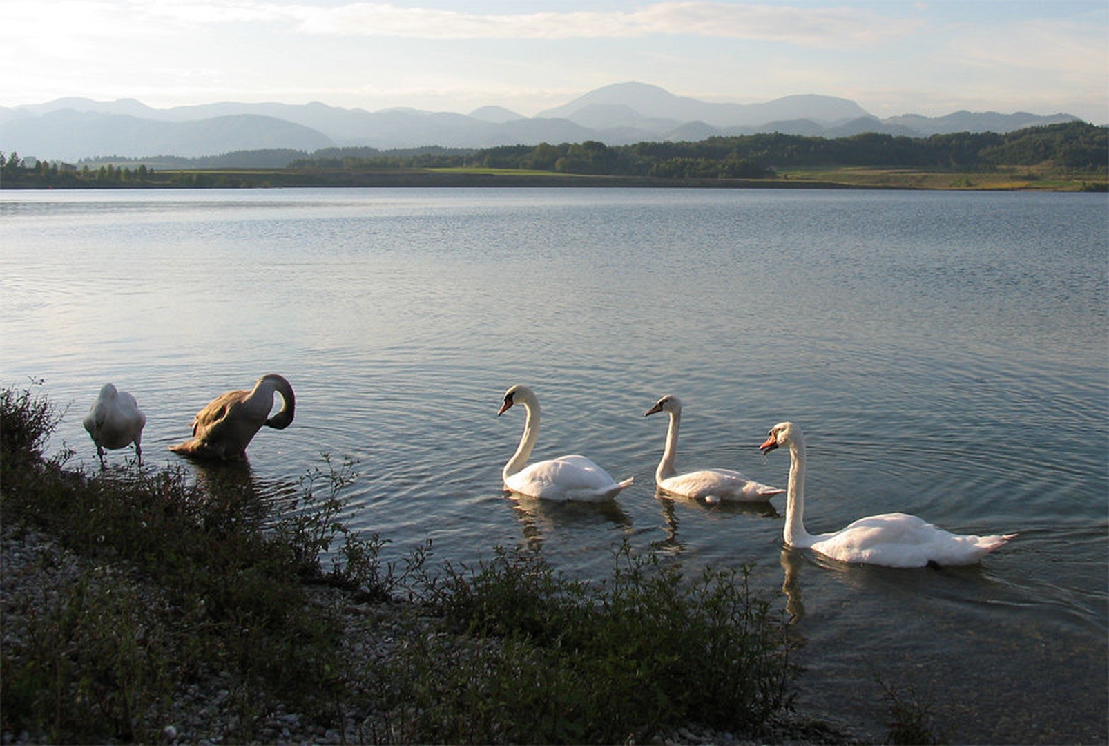 Večerna promenada by